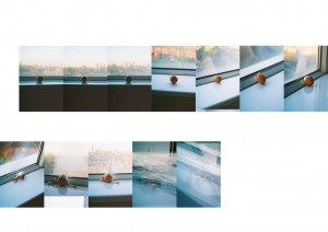 2007,
sequence of 12 6"x4" photographs